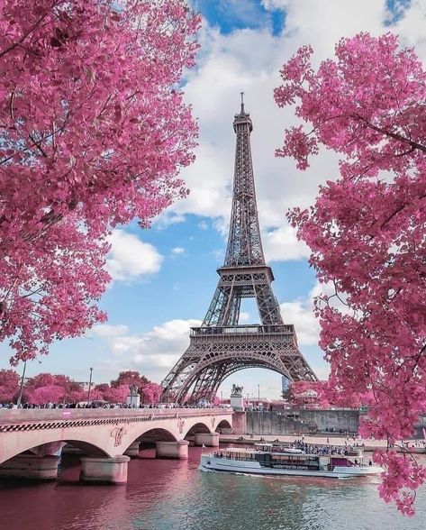 The Eiffel Tower is a distinctive symbol of France.